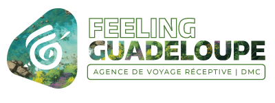 Agence Feeling Guadeloupe